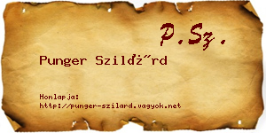 Punger Szilárd névjegykártya